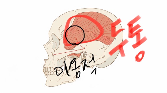 홍대 측두근 보톡스 시술 목적, 효과 알려드려요.